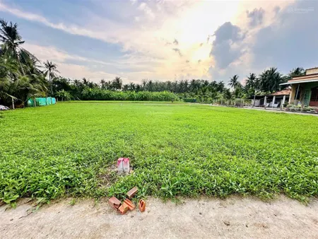 Bán đất thổ vườn ấp bình nhựt xã thành công gò công tây tiền giang