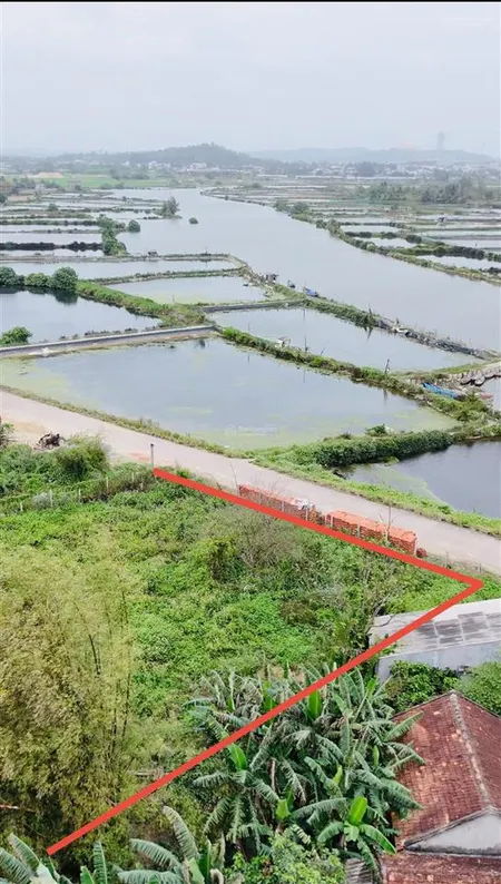 Vườn gần 1000mv thổ cư view sông hoàn toàn giá khá tốt rất đẹp