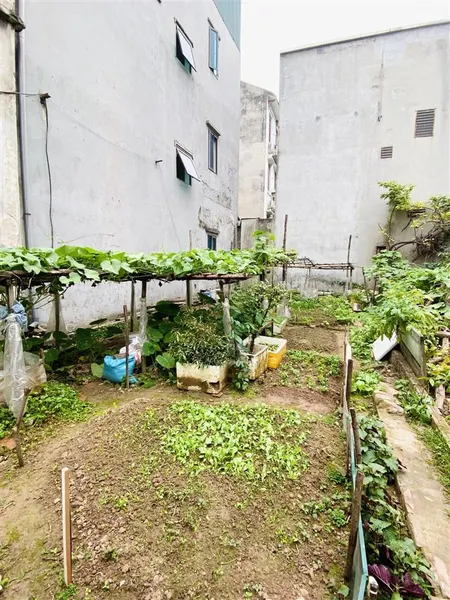 Hiếm! bán đất phúc đồng, tân thuỵ, dt 98m2, mt 5.2m, ô tô tải thông. giá 14.5 tỷ