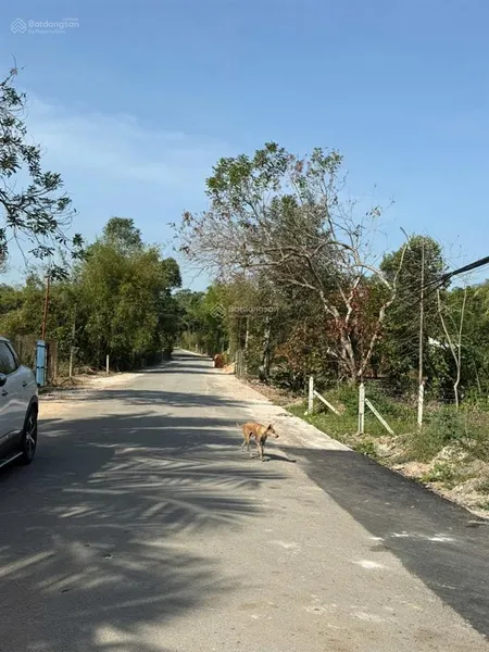 Bán đất an điền gần ngã 3 chú lường ct đông, 5x28 tc 142.7m2 giá 1tỷ250triệu. đt 0387 426 *** nga