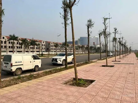 Bán 50m260m2100m2150m2 đất dịch vụ xã an thượng, khu học viện chính sách, giá 95tr100 triệu/1m2