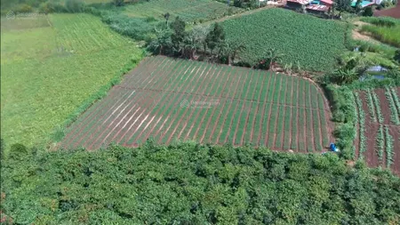 Đất nông nghiệp cách sân bay đà lạt 15km 2000m2 đất đen
