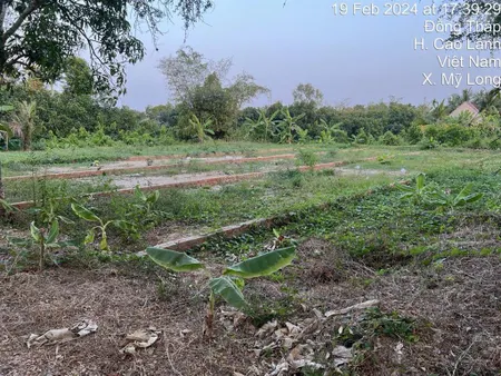 Bán đất xã mỹ long, huyện cao lãnh sổ đỏ, phân lô từng nền, kết hợp với các bạn môi giới 2.5%