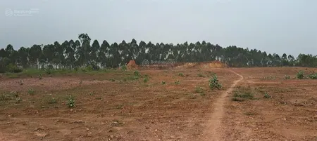 Siêu hiếm 3.5ha đất sx mặt đt 302c, trung mỹ, bình xuyên, vĩnh phúc