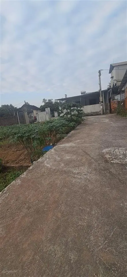 Cần thanh khoản đất trung châu đan phượng cũ 40m2 cách 1 nhà ra đường tránh hàng xóm thân thiện