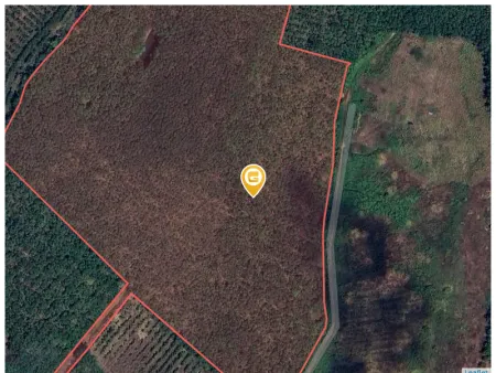 Bán đất 1000m² ngang 25m giá 200 triệu Xã Tân Lợi
