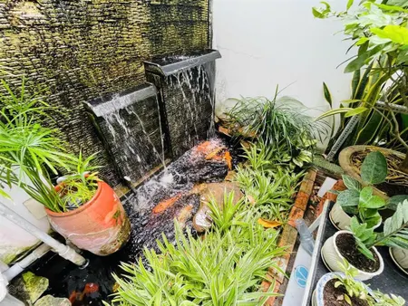 Nhà biệt thự tttp nha trang đường lê chân