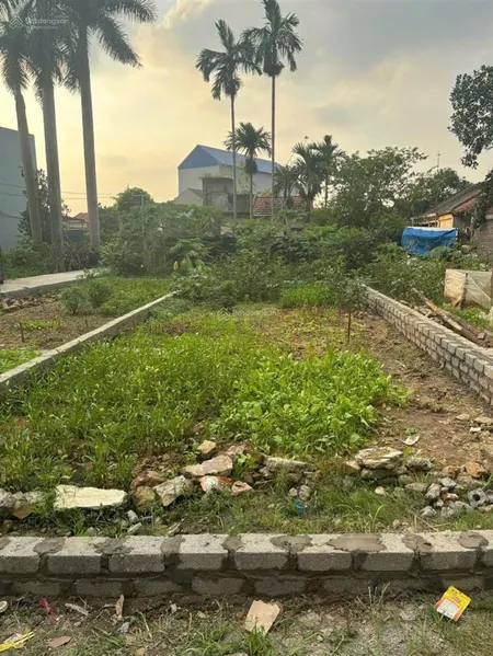 Hiếm trục chính xuân tảo, trung hòa yên mỹ trục đường kinh doanh buôn bán sầm uất