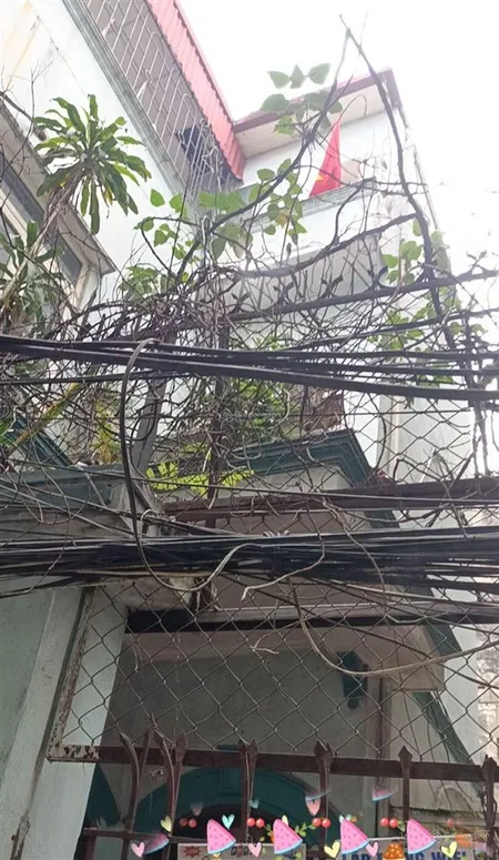 Bán đất trương định, hoàng mai 132 m2 mt 8.2 m 21 tỷ (b2)