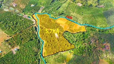 5,7ha coffee, đất bằng, kín gió, suối hồ nhà đầy đủ, khu dân cư đông
