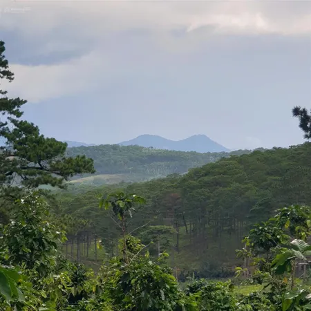 Bán đất tại xuân thọ, đà lạt, lâm đồng, 500 triệu, 903 m2.