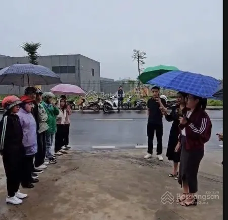 Đât đấu giá vĩnh thịnh khu công nghiệp tân hưng