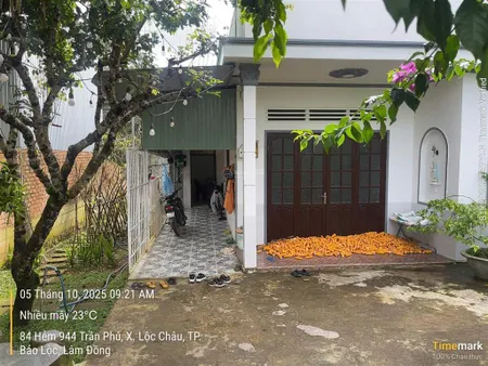 Nhà vườn bảo lộc hẻm nhựa 2 oto lộc châu dt 788m2 (13mx63m) sẵn thổ cư, đầy đủ cây ăn trái