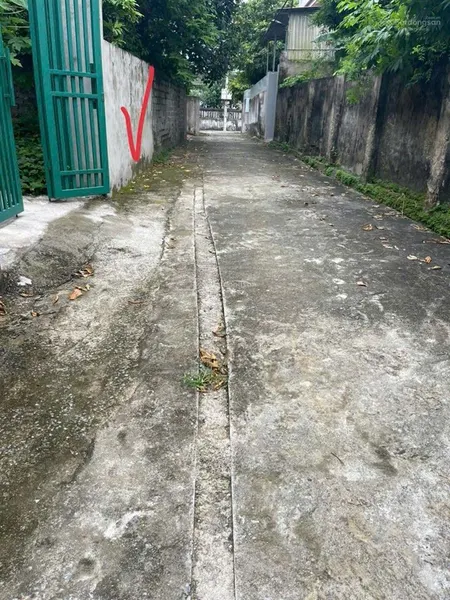 1,6 tỷ bán gấp 100m2 đất tại xã minh đức, ứng hòa, hà nội,