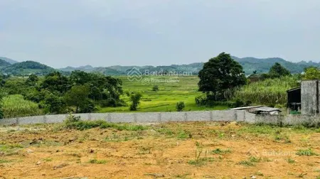 Cực hiếm 1000m full thổ cư view đỉnh chóp tuyệt đẹp tại cao phong hòa bình giá chỉ 1,x tỷ