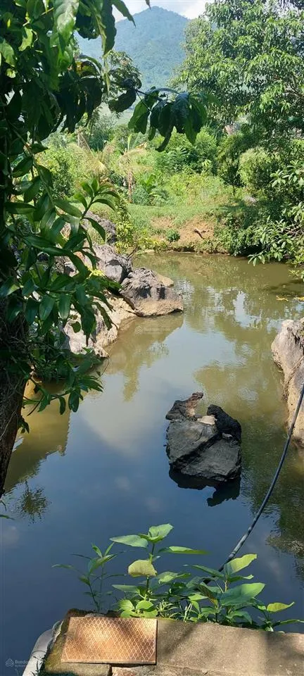 Chỉ 1,x tỷ sở hữu ngay 2000m2 view tuyệt đẹp kim bôi hòa bình chính chủ cần bán gấp