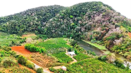 Đất măng đen 400m² view núi rừng, thổ cư không khí trong lành
