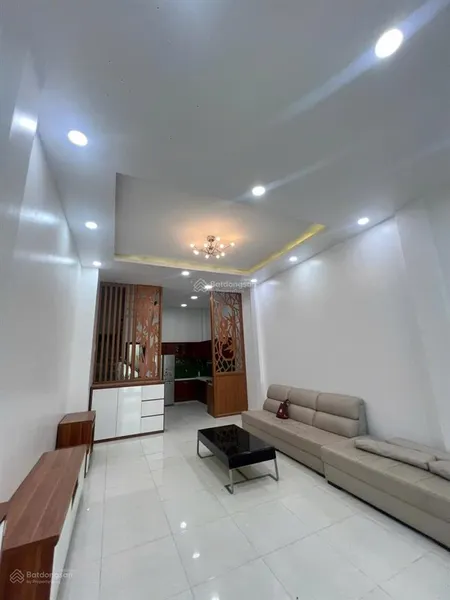 Bán nhà 4,5 x13 m giá 12,5 tỷ đường 45 p tân quy quận 7