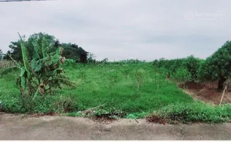 Bán đất thôn 2, vạn phúc, thanh trì diện tích 1000m2 chỉ 2.86 tỷ. đường thông, ô tô tránh nhau sđcc
