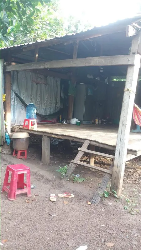 Bán 1,3ha rẫy ở lộc quang, lộc ninh, bình phước