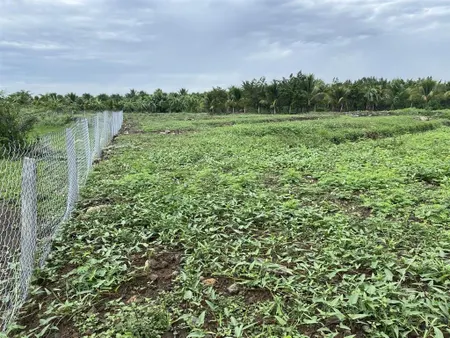 Đất sào siêu rẻ tại long khánh (chỗ nào rẻ hơn cho luôn)
