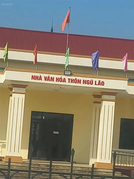Chính chủ cần bán lô đất tại quang hưng, phù cừ, hung yên.giá chỉ nhỉnh 8tr/m2. 0963 227 ***