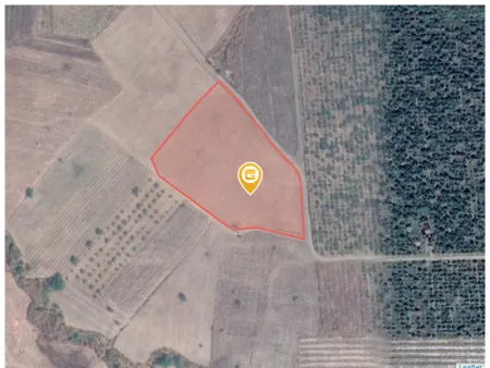 Bán đất 60000m² ngang 150m giá 2.4 tỷ Xã Ea Wer