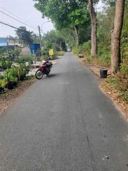 Bán đất chính chủ 297 bàu lách, ấp 4, phạm văn cội, củ chi