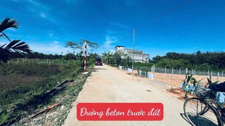 Đất sát thị trấn đạ tẻh lâm đồng dt 6*45m full thổ cư đường bê tông tặng hàng rào chỉ 309tr
