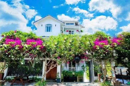 Villa biển mỹ khê đà nẵng, 300m2 cách 5p đi bộ, sẵn dòng tiền 1.2 tỷ hàng năm, sở hữu lâu dài