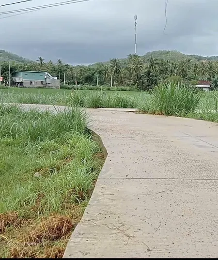 Cần bán lô đất tại xã xuân thọ tỉnh daklak. tổng diện tích 1000m2 có sẵn 85m2 thổ cư