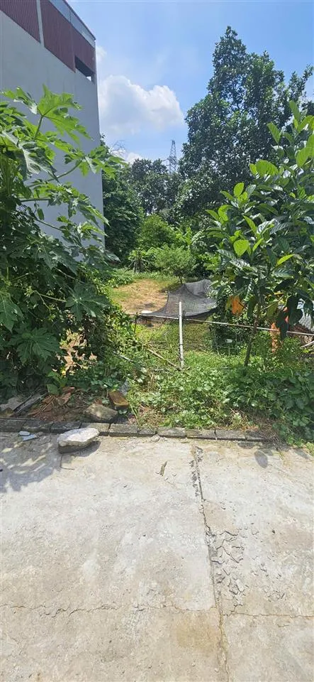 Bán 115m2 đất ngọc trì, kim hoa nhỏ tiền, sát vành đai 4 vf3 đỗ cửa