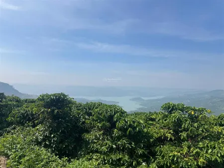 (ngộp) đất view sông đồng nai sẵn sổ, sẵn thổ cư giá tốt