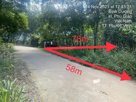 Ngân hàng thanh lý lô đất to giá chỉ 2 tỷ hơn, hơn 3000m2, tt phú giáo, bd