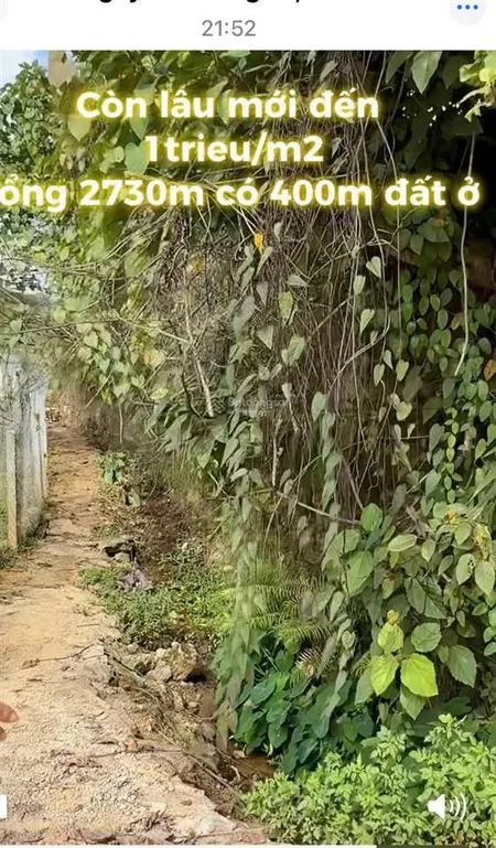 Bán 2730 m² đất cạnh ql6, phong thủy đẹp phù hợp làm nghỉ dưỡng, nhà vườn, tích sản, đầu tư