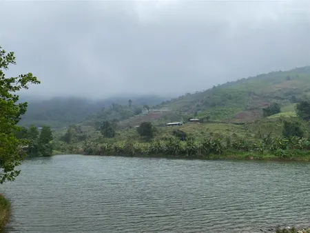 Siêu phẩm view hồ cực đẹp giá chỉ vài trăm/m tại cao phong