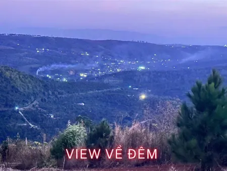Rẫy view rừng thông đẹp giá rẻ tại trường xuân, đắk song, lâm đồng
