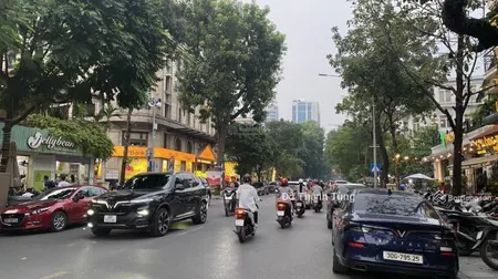 Bán đất hiếm tại phố thợ nhuộm, 550 tỷ, 490m2, hoàn kiếm, hà nội