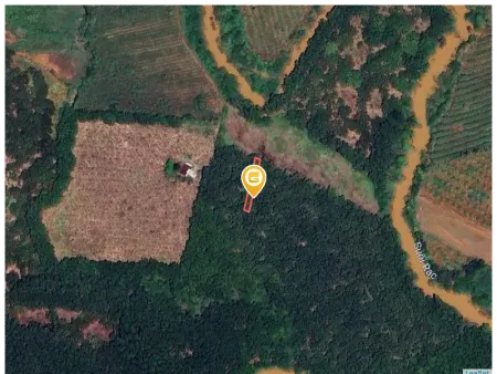 Bán đất 250.5m² giá 250 triệu Xã Đồng Phú