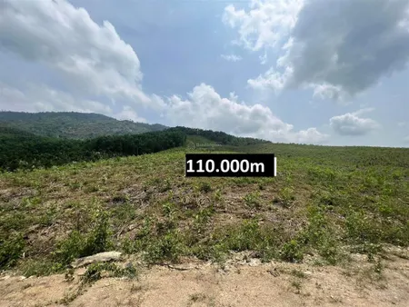 Bán 11 hecta đất giáp bêtông hơn 300m làm nhà vườn, trang trại gần tt khánh vĩnh giá rẻ