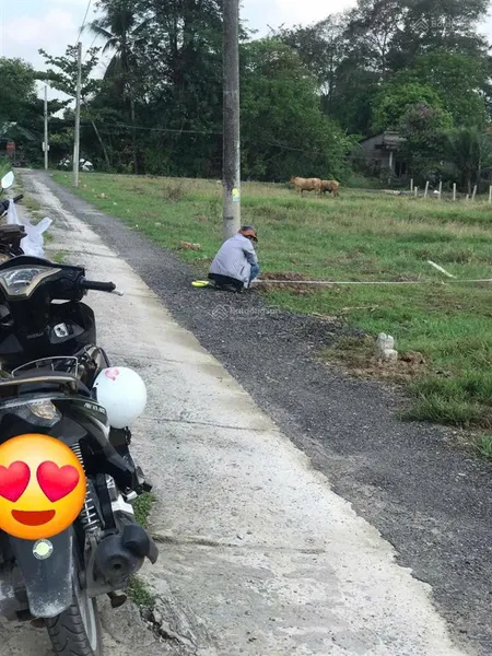 Chính chủ bán nhà cấp 4 mới xây cách ql1a chỉ 200m, xe hơi tận nhà, giá nhỉnh 1 tỷ, shr
