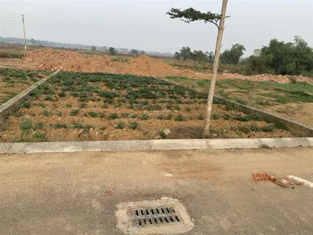 Bán đất đồng trúc 3100 m2 giá 23 triệu 1 m2