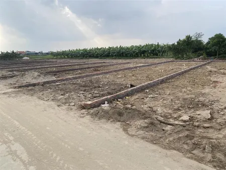 Bán gấp đất 275m2 tại xã trung chính, lương tài, bắc ninh, giá tốt 2,75 tỷ