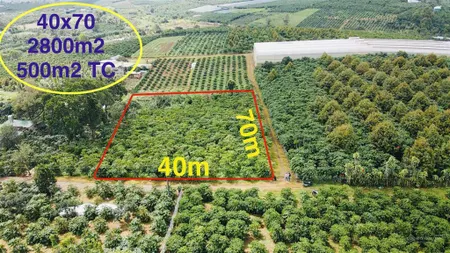 Bán lô đất góc 2 mặt tiền 2.800 m² (500 m² thổ cư) hẻm lạc long quân, tt lộc thắng, bảo lâm. 5 tỷ