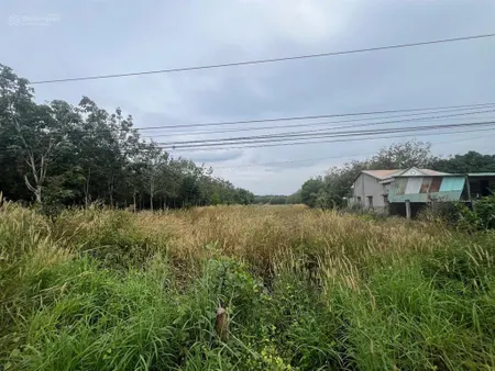 Bán đất mặt tiền dt651e thôn xuân ninh, xã xuân sơn, vạn ninh | 3.864,5m² full thổ ngang 14,7m