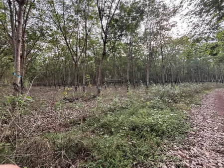 Bán đất tại xã tân phước, đồng phú, bình phước, 27500 m2 đất tại xã tân phước, đồng phú