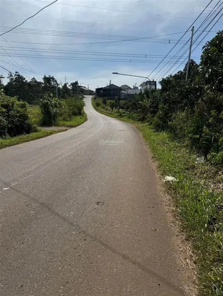 Chính chủ bán đất hòa bắc di linh, thế đất đẹp, bằng phẳng
