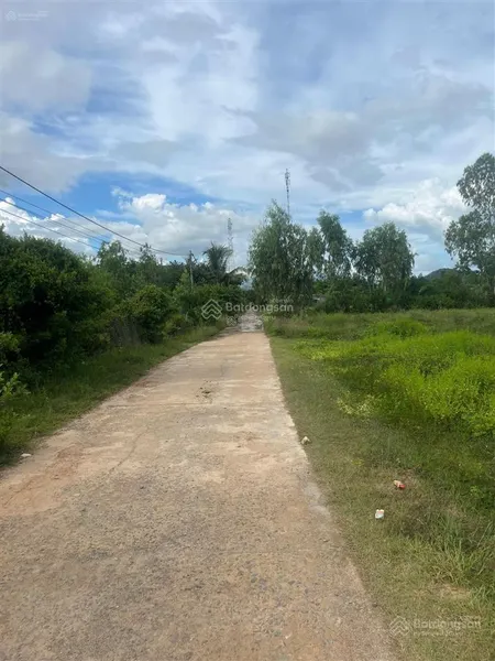 Đất ở giá mềm thôn xuân thọ, xuân sơn | 214,8m² đất ở nông thôn chỉ 4,5 triệu/m²