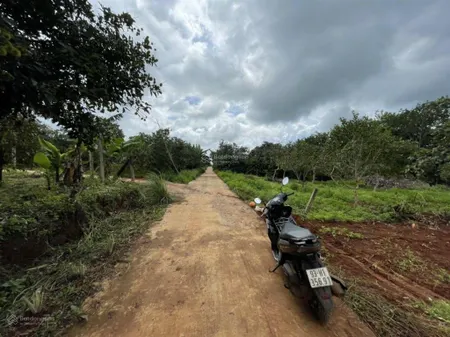 Lô đất đường bê tông trục đường chính thôn 2 . dân cư đông đăk lim đắk ơ bù gia mập 933m2