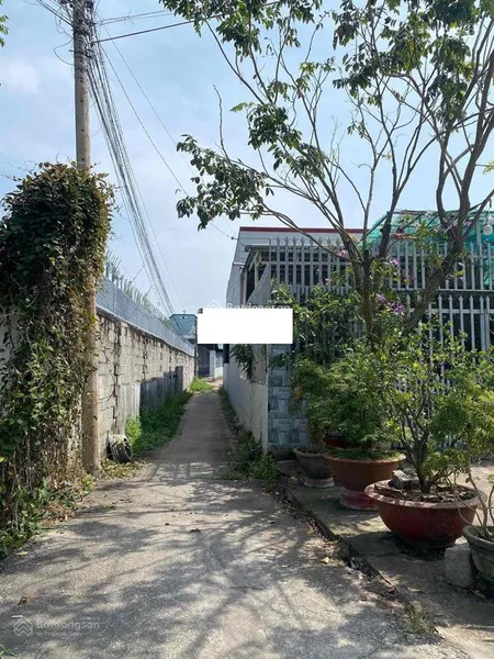 Săn đất vườn giữa lòng phố tài chính chỉ 650 triệu